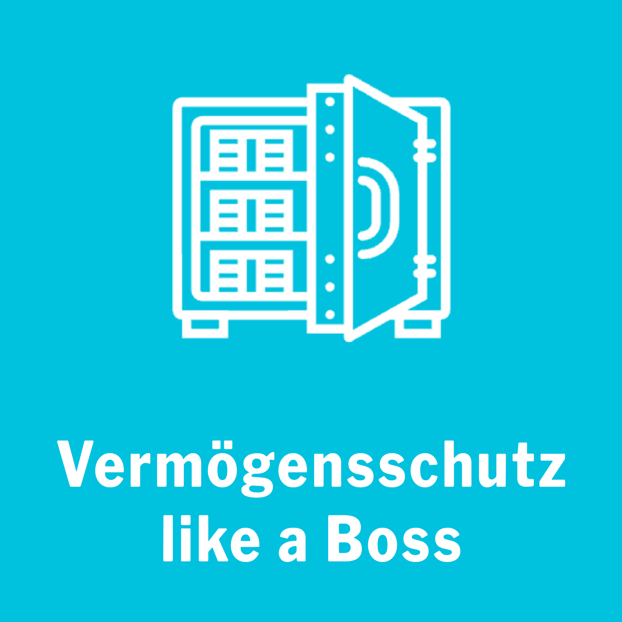 1-groß-Vermögensschutz-like-a-Boss